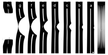 Graphical abstract: Propagation of a brittle fracture in a viscoelastic fluid