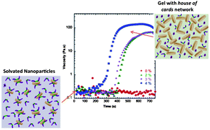 Graphical abstract: In situ photogelation kinetics of Laponite nanoparticle-based photorheological dispersions