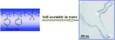 Graphical abstract: Asymmetrical self-assembly from fluorinated and sulfonated block copolymers in aqueous media