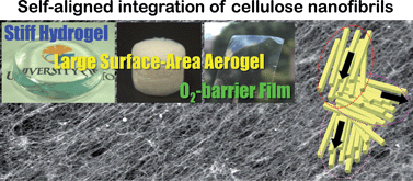 Graphical abstract: Self-aligned integration of native cellulose nanofibrils towards producing diverse bulk materials