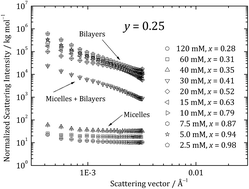 Graphical abstract: Synergistic effects in mixtures of two identically charged ionic surfactants with different critical micelle concentrations