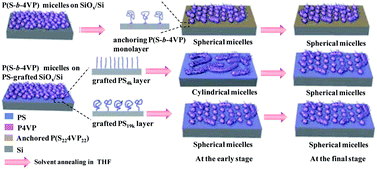 Graphical abstract: Kinetically controlled self-assembly of monolayered micelle films of P(S-b-4VP) on bare and PS-grafted substrates