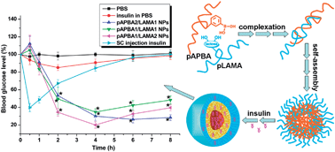 Graphical abstract: Development of novel self-assembled poly(3-acrylamidophenylboronic acid)/poly(2-lactobionamidoethyl methacrylate) hybrid nanoparticles for improving nasal adsorption of insulin