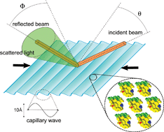 Graphical abstract: A viscoelastic regime in dilute hydrophobin monolayers