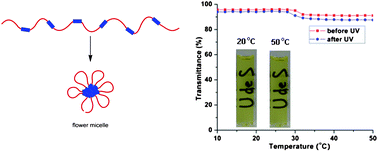 Graphical abstract: Flower micelles of poly(N-isopropylacrylamide) with azobenzene moieties regularly inserted into the main chain