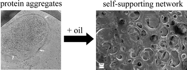 Graphical abstract: Unique emulsions based on biotechnically produced hydrophobins