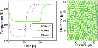 Graphical abstract: A quantitative study of the formation of breath figure templated polymer materials