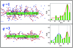 Graphical abstract: Effects of multivalent counterions on the morphology and interactions of polyelectrolyte chains grafted on carbon nanotubes