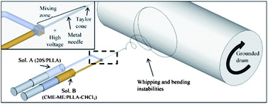 Graphical abstract: Electrospun silica/PLLA hybrid materials for skeletal regeneration