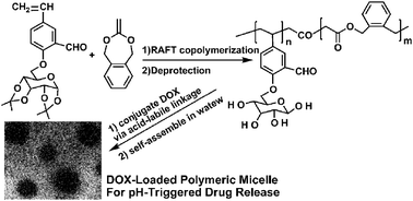 Graphical abstract: Degradable and biocompatible aldehyde-functionalized glycopolymer conjugated with doxorubicinvia acid-labile Schiff base linkage for pH-triggered drug release