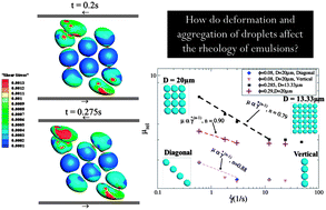 Graphical abstract: Study of aggregational characteristics of emulsions on their rheological properties using the lattice Boltzmann approach