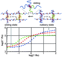 Graphical abstract: Dynamic transition between rubber and sliding states attributed to slidable cross-links