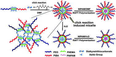 Graphical abstract: Reactive triblock copolymer micelles induced by click reaction: A platform for RAFT polymerization