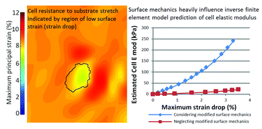 Graphical abstract: Biomaterial surface modifications can dominate cell–substrate mechanics: the impact of PDMS plasma treatment on a quantitative assay of cell stiffness