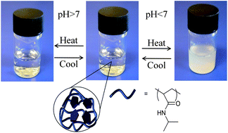 Graphical abstract: Synthesis of single chain thermoresponsive polymer nanoparticles