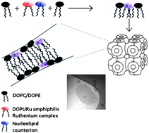Graphical abstract: Cubosomes for ruthenium complex delivery: formulation and characterization