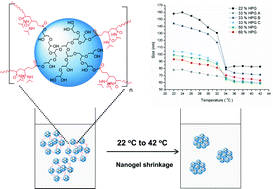 Graphical abstract: Thermosensitive nanogels based on dendritic polyglycerol and N-isopropylacrylamide for biomedical applications