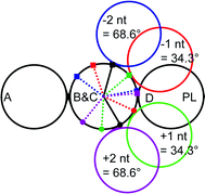 Graphical abstract: Fabrication of zigzag and folded DNA nanostructures by an angle control scheme
