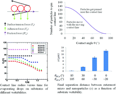 Graphical abstract: Interaction of bi-dispersed particles with contact line in an evaporating colloidal drop