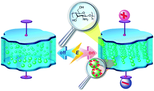 Graphical abstract: Gelation of natural polymer dispersed suspensions under electric field