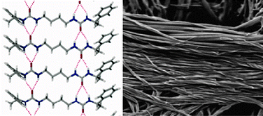 Graphical abstract: Anion tuning of chiral bis(urea) low molecular weight gels