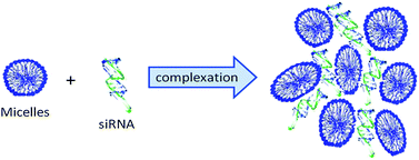 Graphical abstract: Complexing a small interfering RNA with divalent cationic surfactants