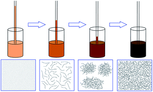 Graphical abstract: Sol–gel transition of poly(3-hexylthiophene) revealed by capillary measurements: phase behaviors, gelation kinetics and the formation mechanism