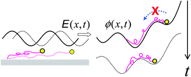 Graphical abstract: Electrophoretic stretching of tethered polymer chains by travelling-wave electric fields: tunable stretching, expedited coil–stretch transition, and a new paradigm of dynamic molecular probing