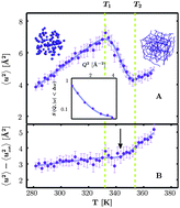 Graphical abstract: Dynamics of highly concentrated protein solutions around the denaturing transition