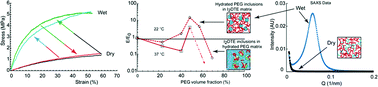 Graphical abstract: Anomalous increase in modulus upon hydration in random copolymers with hydrophobic segments and hydrophilic blocks