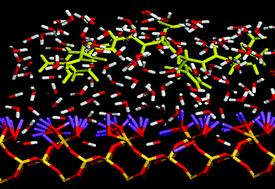 Graphical abstract: Surface adsorption of fibronectin-derived peptide fragments: the influence of electrostatics and hydrophobicity for endothelial cells adhesion
