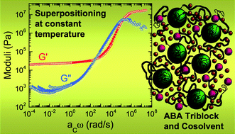 Graphical abstract: Factors affecting time–composition equivalence in ternary block copolymer/cosolvent systems