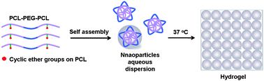 Graphical abstract: Controlled thermal gelation of poly(ε-caprolactone)/poly(ethylene glycol) block copolymers by modifying cyclic ether pendant groups on poly(ε-caprolactone)