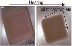 Graphical abstract: Remotely triggered release from composite hydrogel sponges