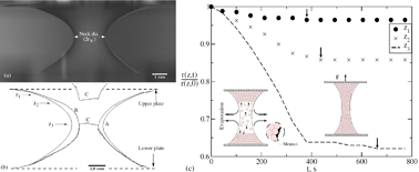 Graphical abstract: Ultimate strength of a colloidal packing