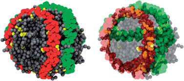 Graphical abstract: Revealing structural and dynamical properties of high density lipoproteins through molecular simulations