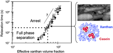 Graphical abstract: Origin of suppressed demixing in casein/xanthan mixtures