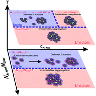 Graphical abstract: Asymmetric self-assembly of oppositely charged composite microgels and gold nanoparticles