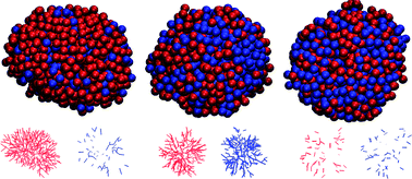 Graphical abstract: Bicontinuous and mixed gels in binary mixtures of patchy colloidal particles