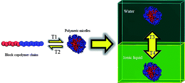 Graphical abstract: Dissipative particle dynamics simulation of the micellization–demicellization process and micellar shuttle of a diblock copolymer in a biphasic system (water/ionic-liquid)