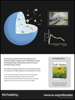 Graphical abstract: Back cover