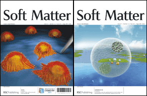 Graphical abstract: Front cover