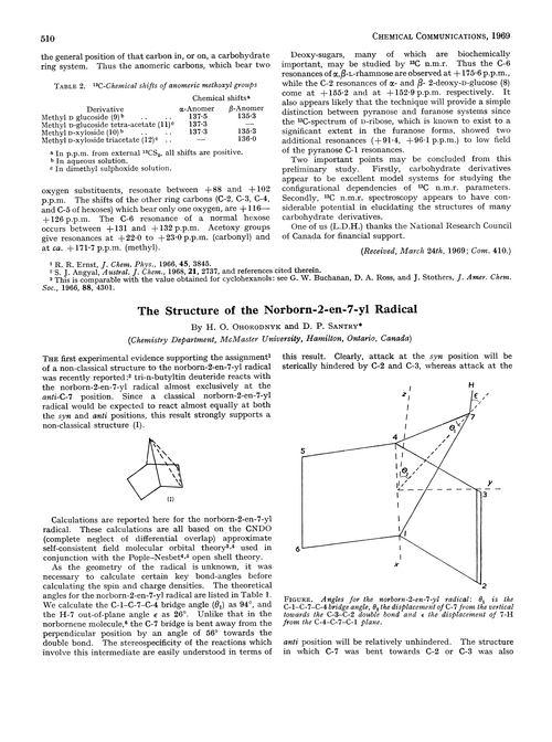 The structure of the norborn-2-en-7-yl radical