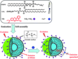 Graphical abstract: Free-standing liposomal nanohybrid cerasomes as ideal materials for sensing of cupric ions