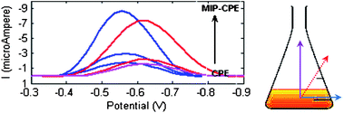 Graphical abstract: A chemometrics approach for simultaneous determination of cyanazine and propazine based on a carbon paste electrode modified by a molecularly imprinted polymer