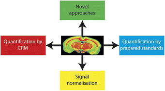 Graphical abstract: Quantification strategies for elemental imaging of biological samples using laser ablation-inductively coupled plasma-mass spectrometry