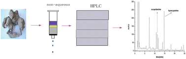 Graphical abstract: A non-aqueous solid phase extraction method for alkaloid enrichment and its application in the determination of hyoscyamine and scopolamine