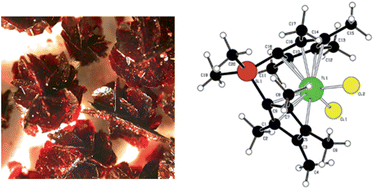 Graphical abstract: Combining Fourier transform nuclear quadrupole resonance (FT-NQR) spectroscopy and mass spectrometry (MS) to study the electronic structure of titanocene dichlorides