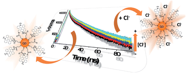 Graphical abstract: A chloride ion nanosensor for time-resolved fluorimetry and fluorescence lifetime imaging