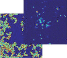 Graphical abstract: Noise Adjusted Principal Component reconstruction to optimize infrared microspectroscopy of individual live cells